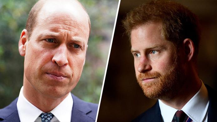 Princ Harry a princ William