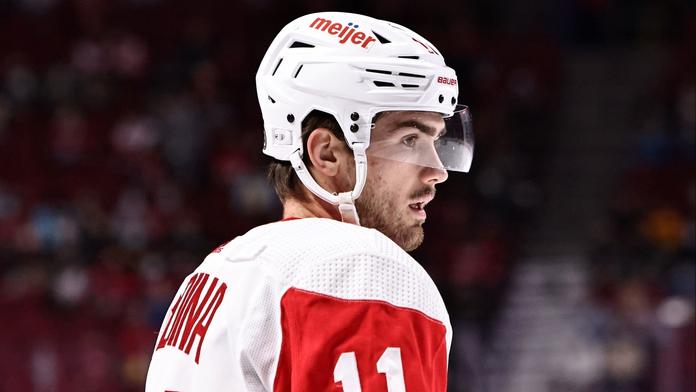 Zadina letos v NHL dohrál, v ohrožení je také světový šampionát
