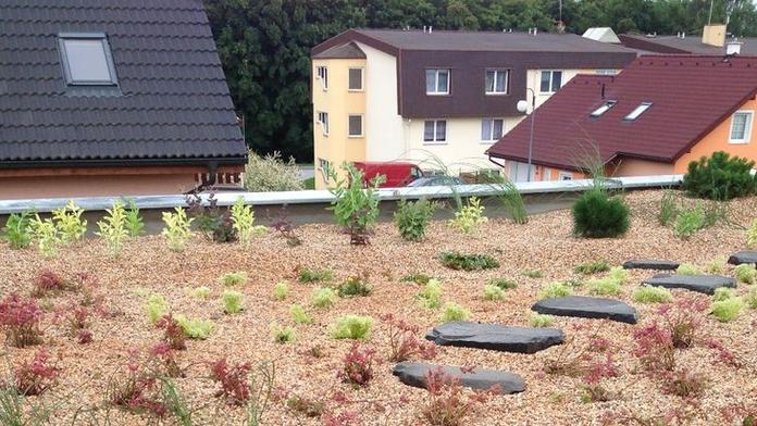 Zahrádka na střeše? Rozhodně ano! Tohle si ale musíte ohlídat