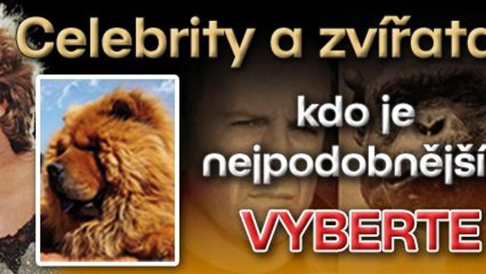 Celebrity a zvířata – kdo je nejpodobnější? VYBERTE