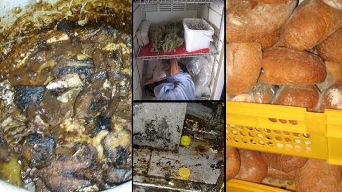 Foto pro silné žaludky! Tyto hnusy našli v restauracích a obchodech