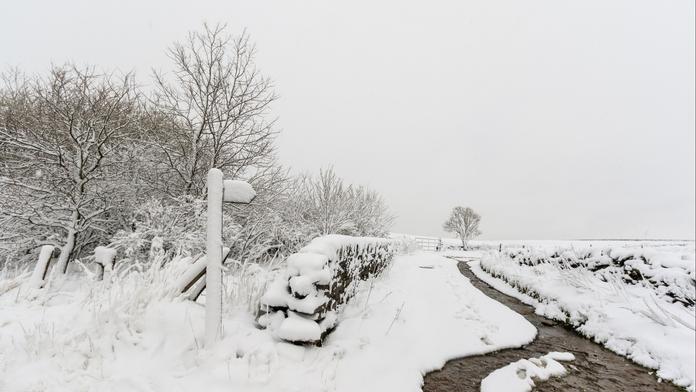 Až 10 cm za hodinu. Meteorologické modely předpovídají obří sněhovou bouři