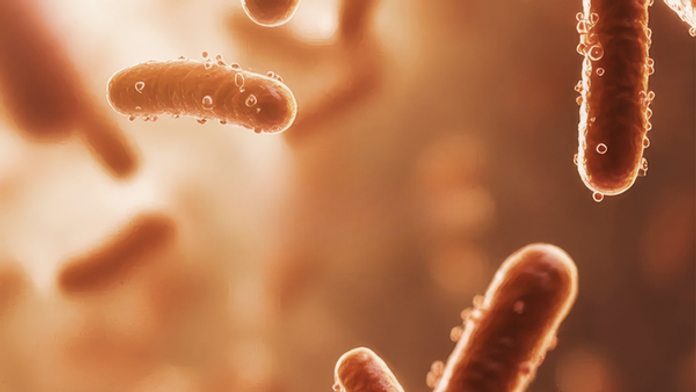 Probiotika: malí pomocníci s velkou rolí v našem zdraví
