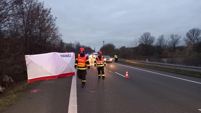 Při nehodě na jihu Moravy zemřela žena. Další žena a dítě se těžce zranily