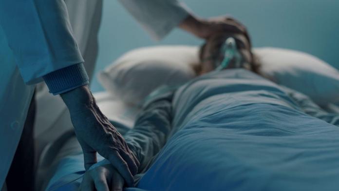 V Bavorsku se objevil vzácný bornavirus. Způsobuje smrtící záněty mozku