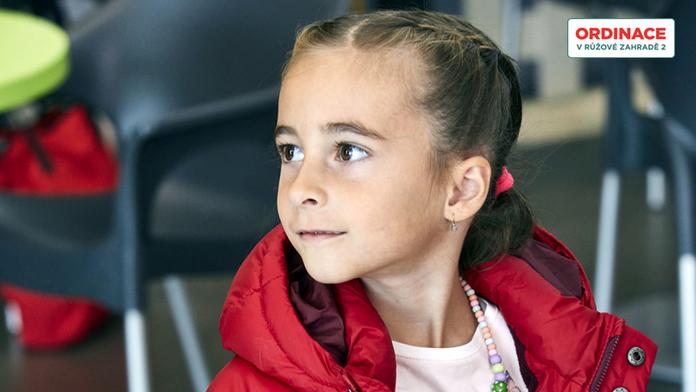 Únos Haničky Suché: Mluvilo se o pedofilovi, objevil se i Martynčák