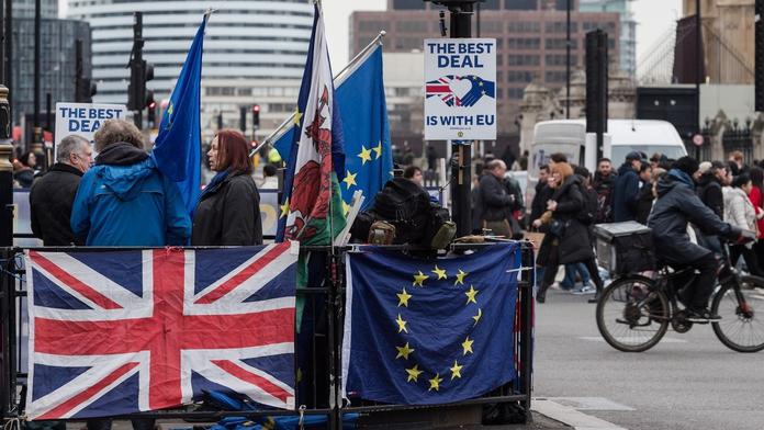 Protest před pátým výročím Brexitu v Londýně, 29. 1. 2025