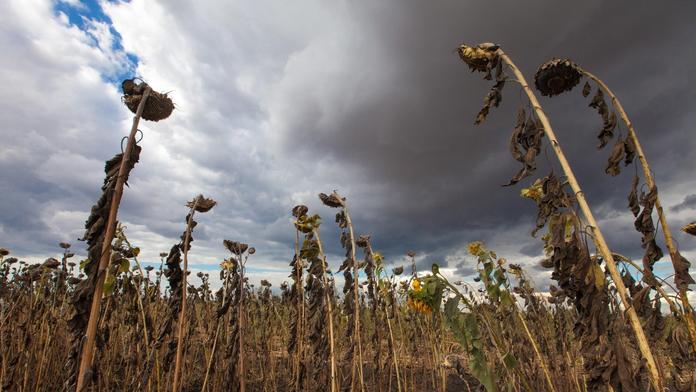 Meteorologové zveřejnili děsivou mapu. Nic podobného dosud nezaznamenali