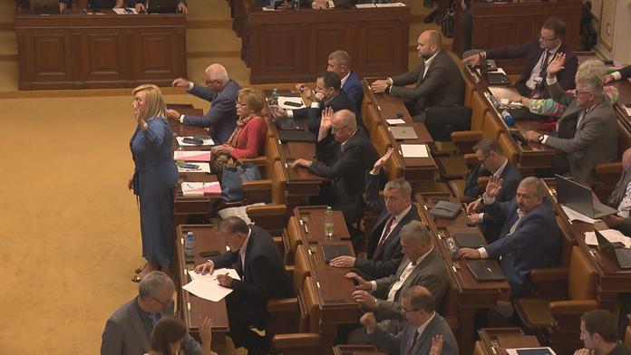 Řadový poslanec dostává přes 100 tisíc. Jiní politici ještě více. PŘEHLED