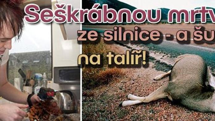 Seškrábnou mrtvolku ze silnice - a šup s ní na talíř!