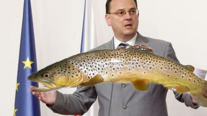 Premiér Nečas povečeří na Štědrý večer pstruha