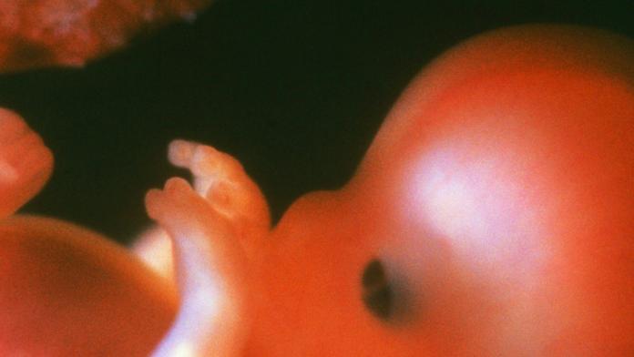 Chlapečka (4) bolelo bříško, ukázalo se, že je těhotný!