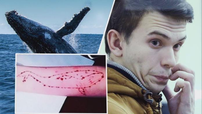 Jak vznikla Modrá velryba? Autor je zatčen, nebezpečí se ale šíří dál