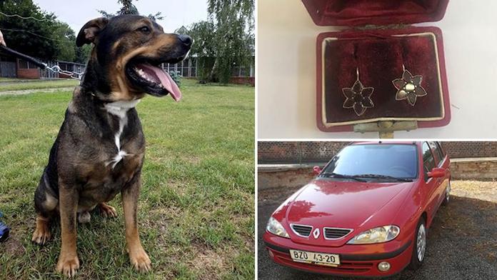Ušetřete tisíce za vánoční dárky! Od státu pořídíte šperky, psy i auta