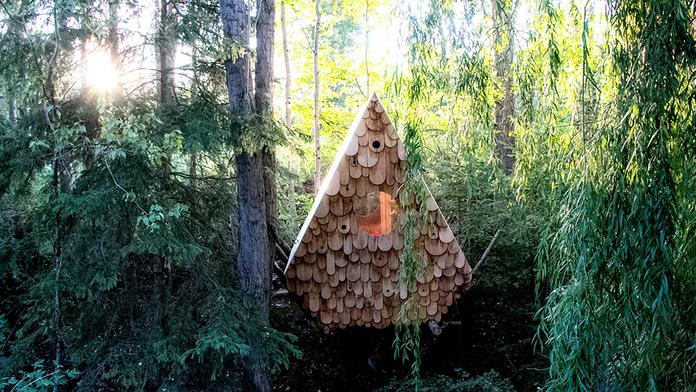Ptačí budka pro člověka: Unikátní domek slouží lidem i ptactvu