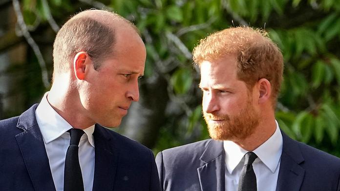 Princ Harry a princ William