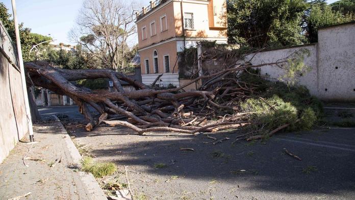 Počasí dál trápí Evropu! Silný vítr zabil teprve 14letého chlapce