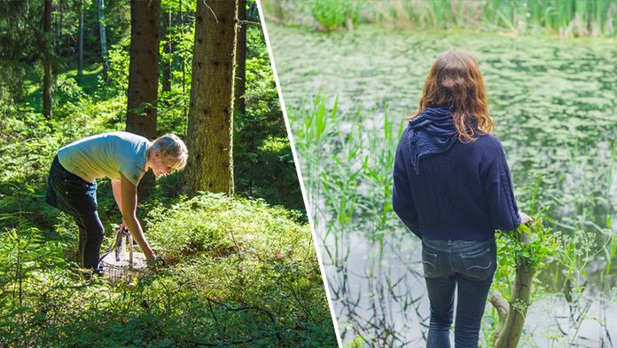 Pozor na lesy, mizí houbaři! Ženu našli v rašelině, muž mrzl ve křoví