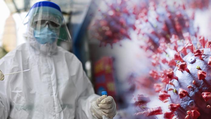 Koronavirus se objevil dřív, než si vědci mysleli. Čína se to snažila utajit