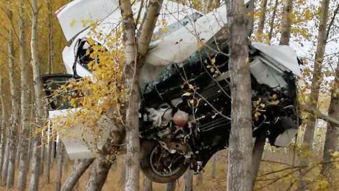 Auto zaklíněné ve stromech. Jak se tam dostalo?