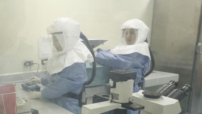 Vše o smrtícím viru EBOLA: Jak se přenáší, jaké jsou příznaky?