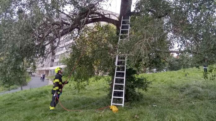 Chlapci se na stromě zaseknul dron. Když pro něj lezl, uvázl tam také