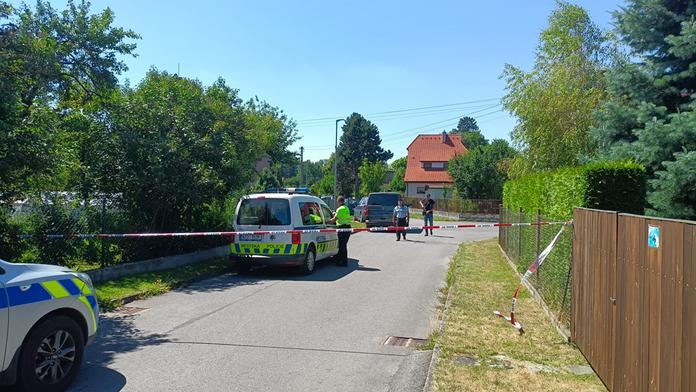 Otec z Rožnova si počkal, až žena a děti usnou. Pak je zastřelil