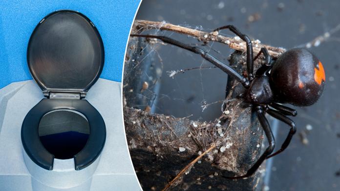 Pokousaný penis! Muž si chtěl odskočit a přišlo bolestivé zranění