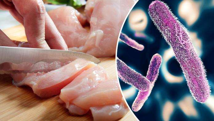 V kuřecích řízcích našli salmonelu! Nekoupili jste si je také?
