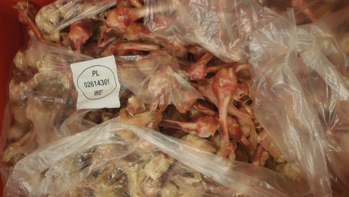 Otřesný nález veterinářů: V porcovně masa byly kila hnijících kostí
