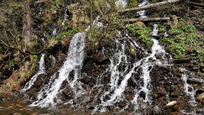 Studánky a prameny vysychají, nejhorší situace je na Moravě