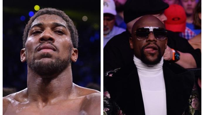 Lvi po boku lvů. Slavný boxer bude trénovat s největšími legendami
