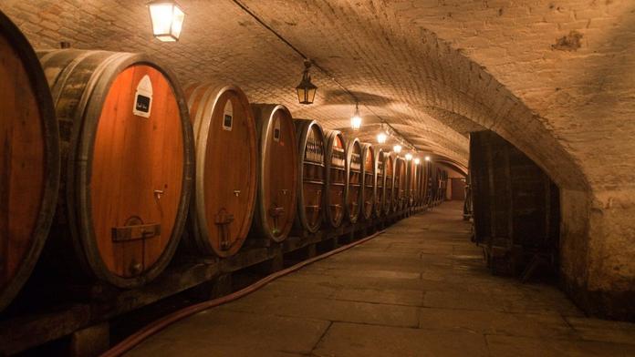 Vínem se léčilo nadýmání i opary. Teď sklepy táhnou turisty