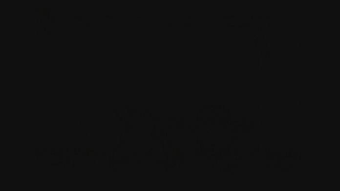 Ani vyvážená strava nemusí dodat tělu důležité minerály!