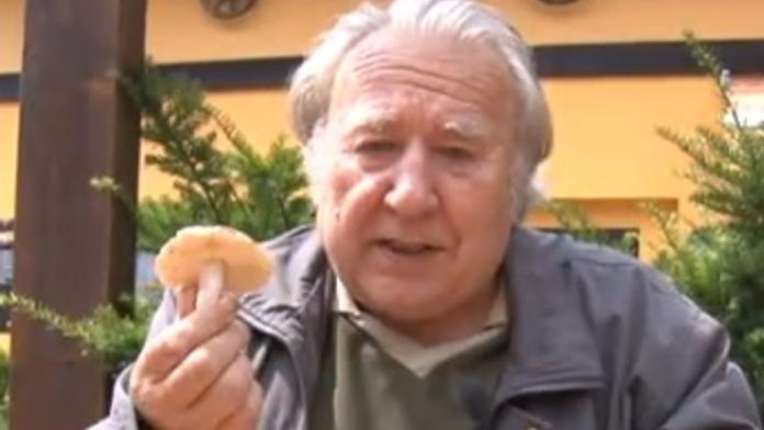 Mykolog poradil, jak na houbový guláš i jak poznat zákeřnou otravu