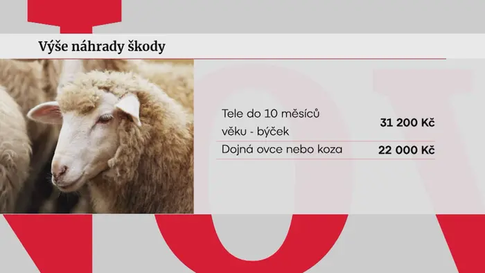 Výše náhrady škody