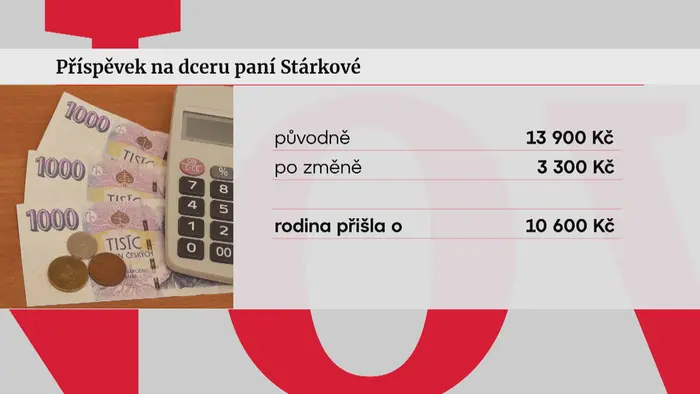 Příspěvek