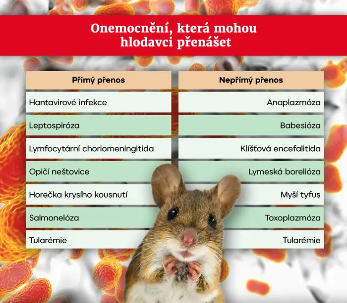 Onemocnění - hlodavci
