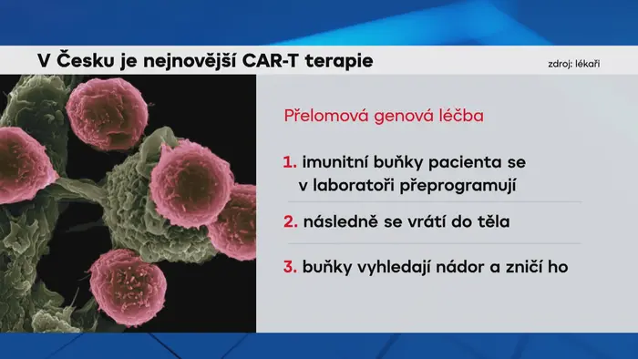 CAR-T terapie