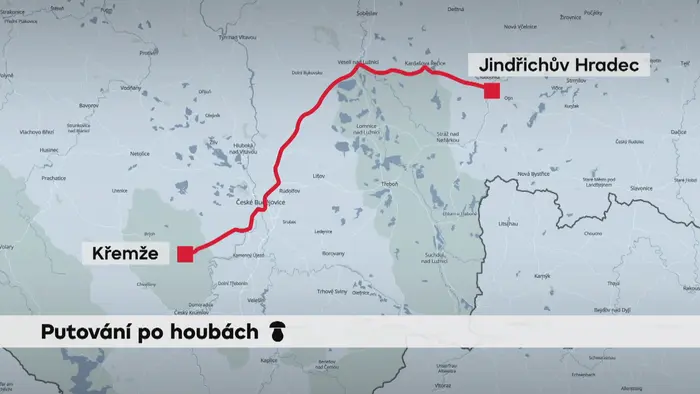 Houby mapa