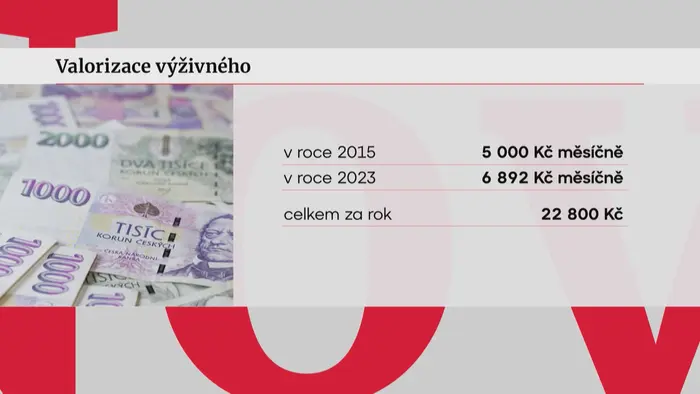 Valorizace výživného