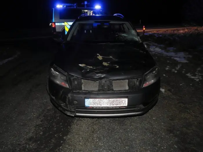 Řidičce na Českolipsku skočil na auto jelen