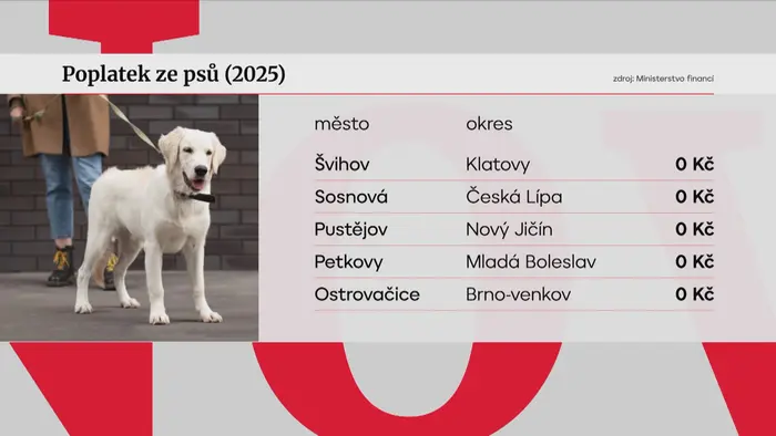 Poplatek ze psů