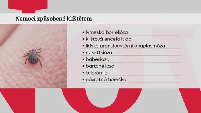 Nemoci způsobené klíštětem