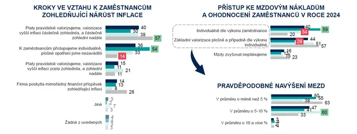 Průzkum Ipsos