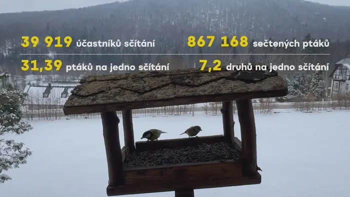 Ptáci