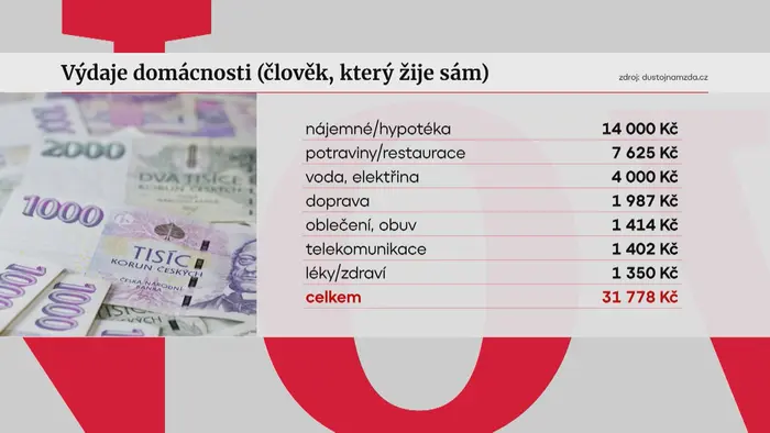 Výdaje