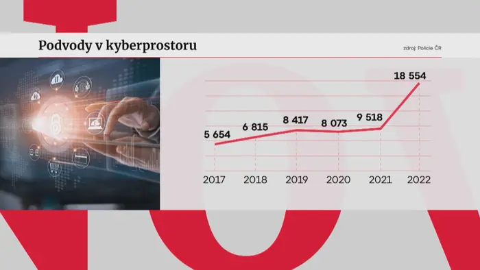 Podvody v kyberprostoru