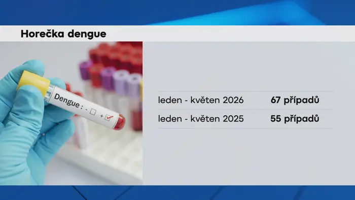 Horečka dengue
