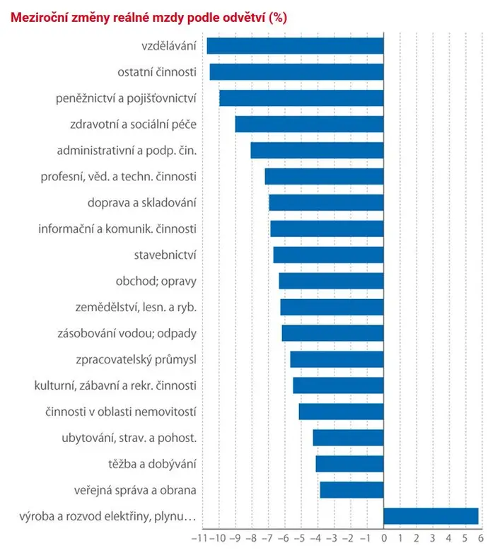 Meziroční změny reálné mzdy podle odvětví (%)